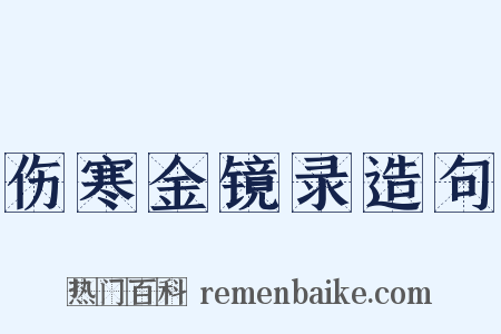 伤寒金镜录造句是什么意思的图片